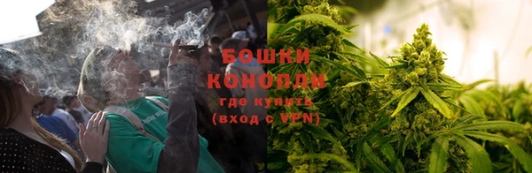 эйфоретик Осташков