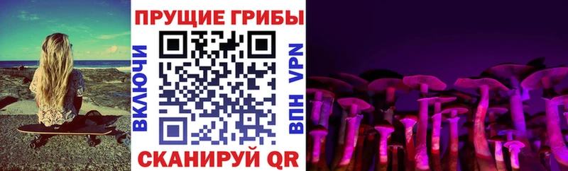Псилоцибиновые грибы мухоморы  мега как войти  Алатырь  где купить наркоту 