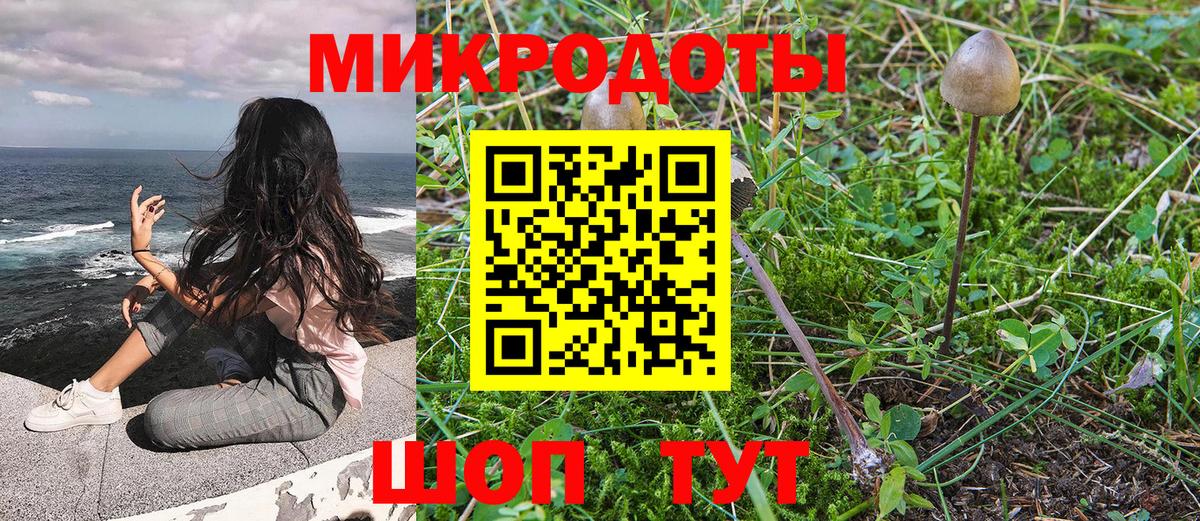 Алатырь  Псилоцибиновые грибы MAGIC MUSHROOMS  наркотики  Вход с VPN 